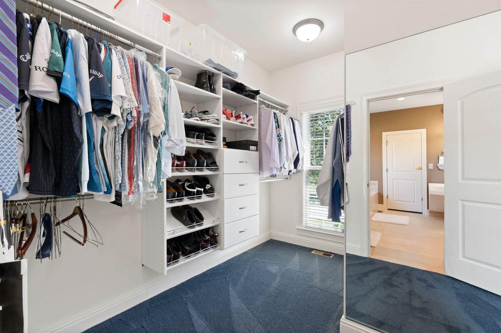 3853 Real Quiet Lane, Lexington, KY 40509