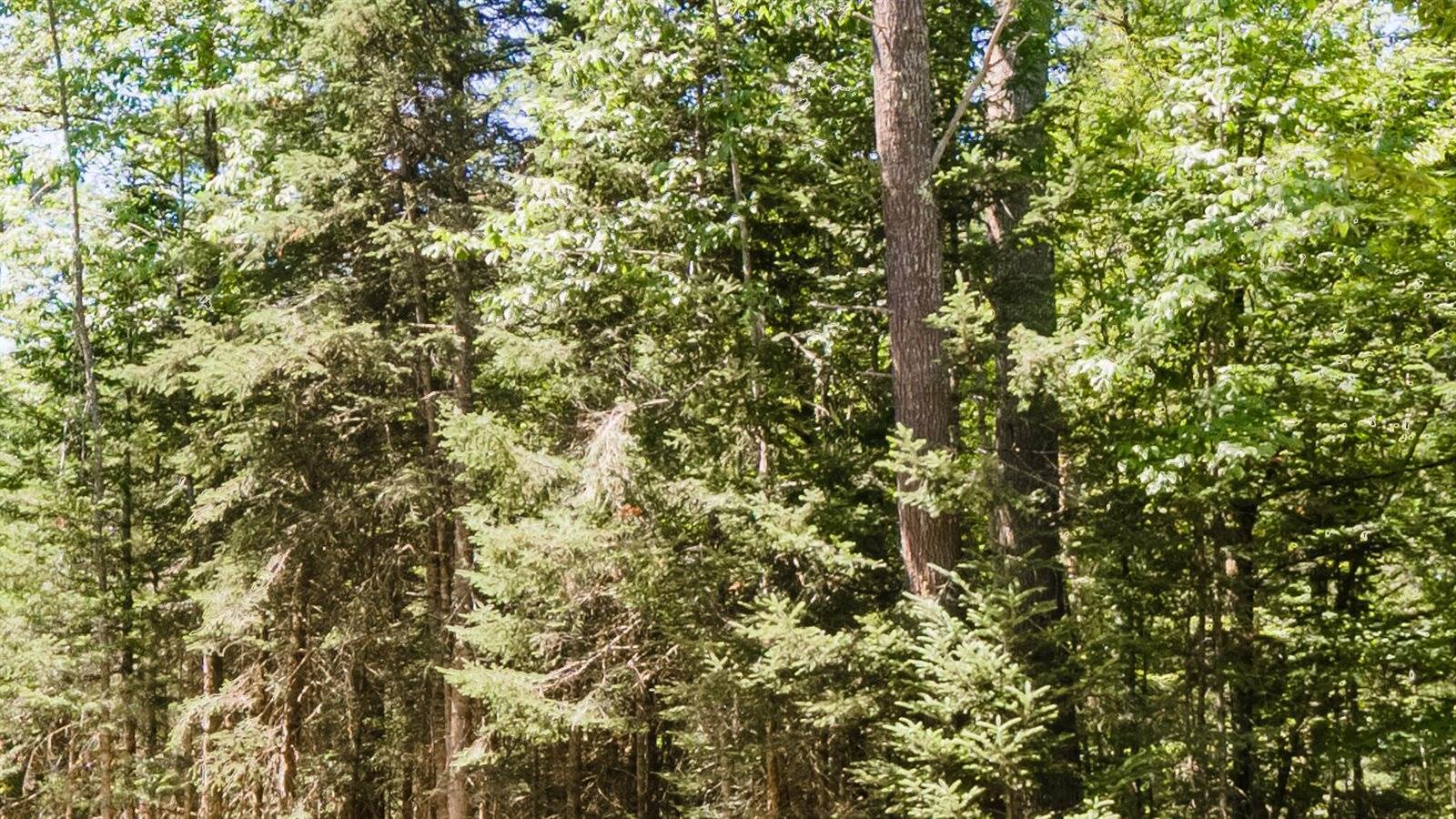 TBD Day Road, Garland, ME 04939