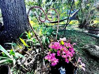 14490 Hilltop Road, Saint Robert, MO 65584