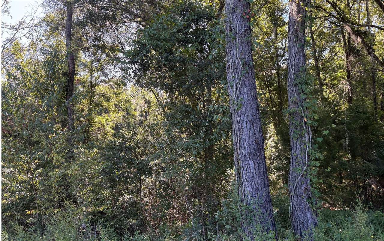 TBD SW Tustenuggee Ave, Lake City, FL 32024