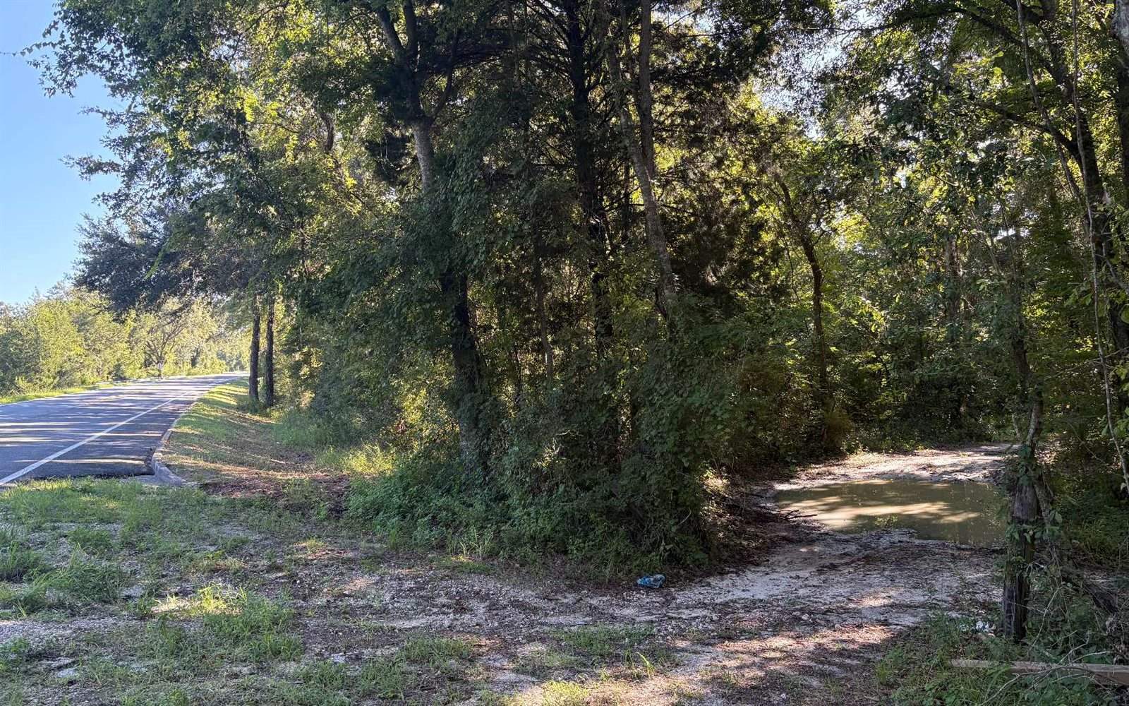 TBD SW Tustenuggee Ave, Lake City, FL 32024