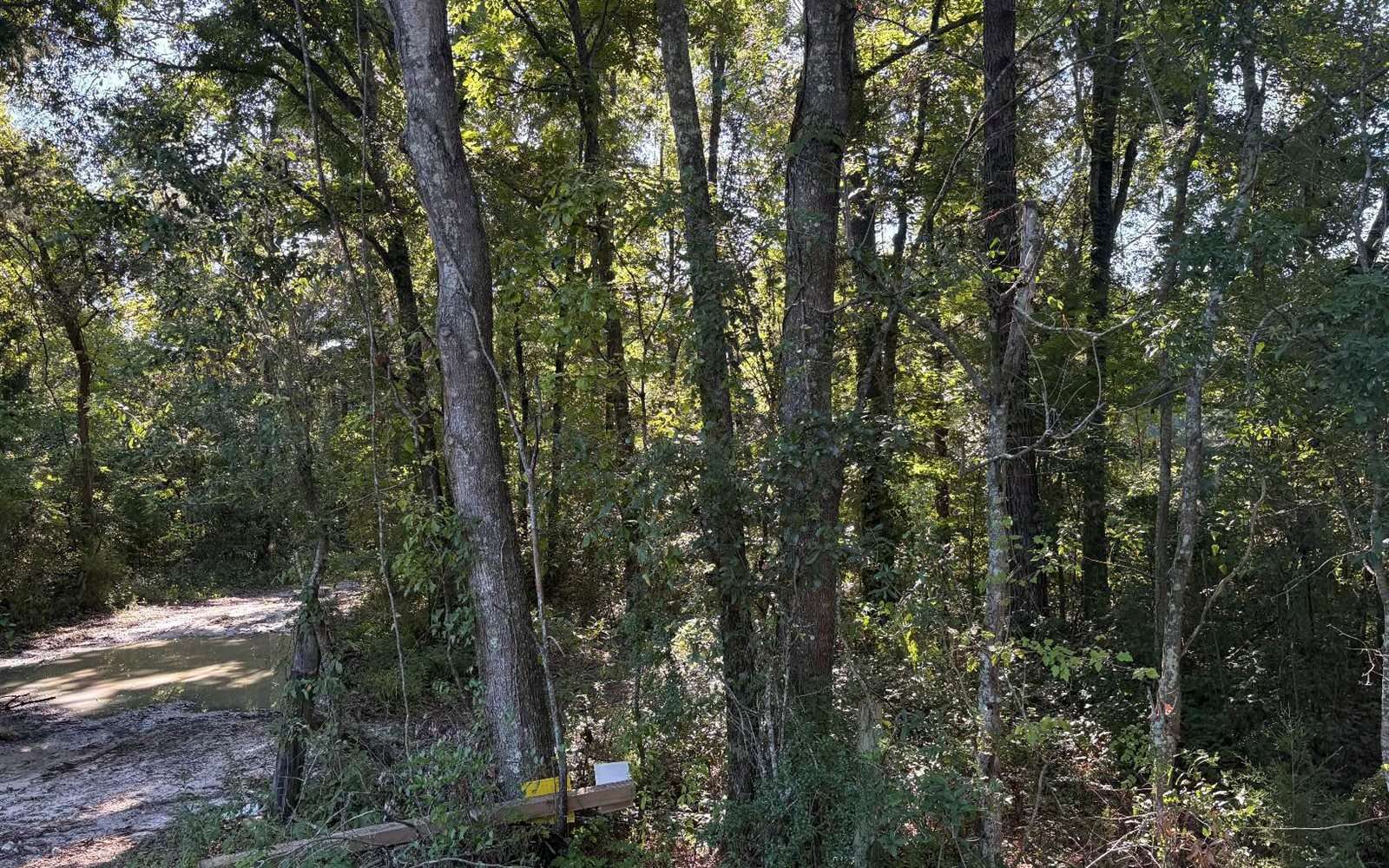 TBD SW Tustenuggee Ave, Lake City, FL 32024