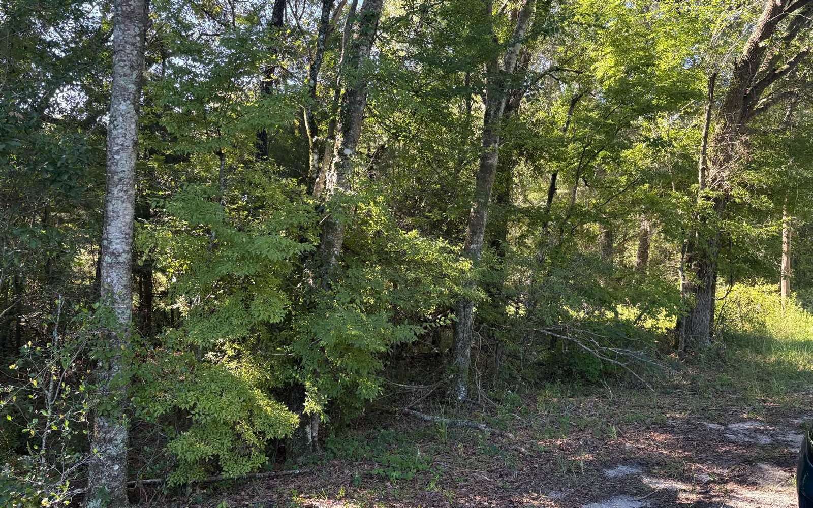 TBD SW Tustenuggee Ave, Lake City, FL 32024