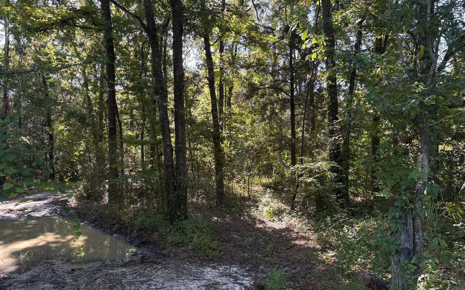 TBD SW Tustenuggee Ave, Lake City, FL 32024