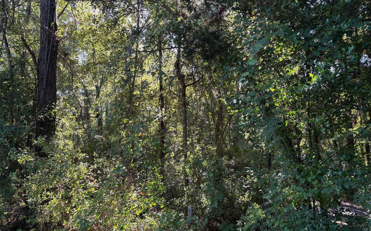 TBD SW Tustenuggee Ave, Lake City, FL 32024