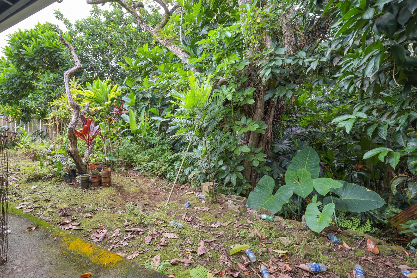 47-685 Hui Ulili Street, Kaneohe, HI 96744