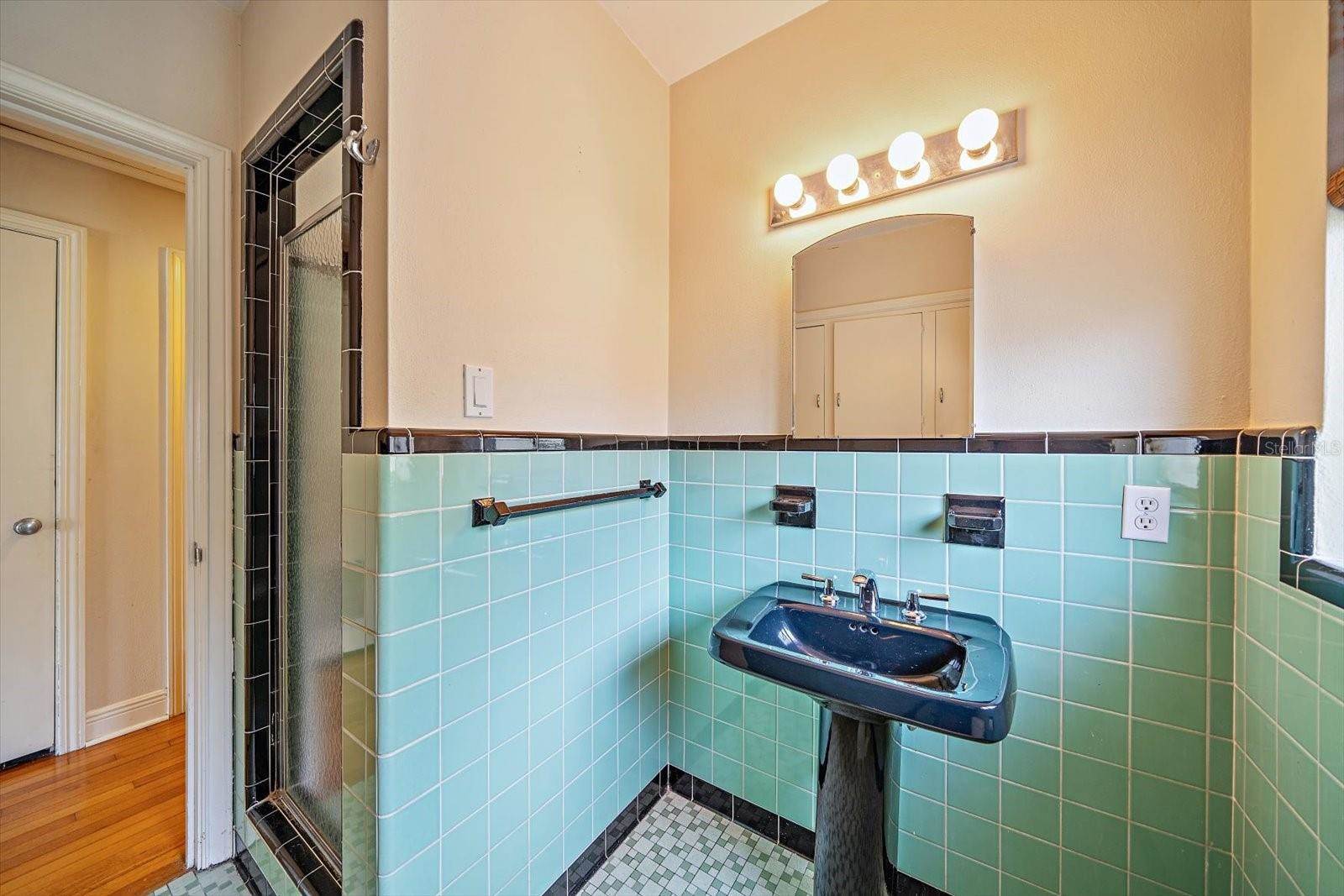 605 15TH Avenue NE, Saint Petersburg, FL 33704