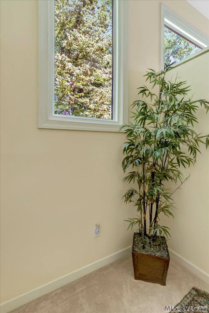 143 Cabin Point Rd, Littleton, NC 27850