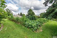 13260 64TH Avenue, Blue Grass, IA 52726