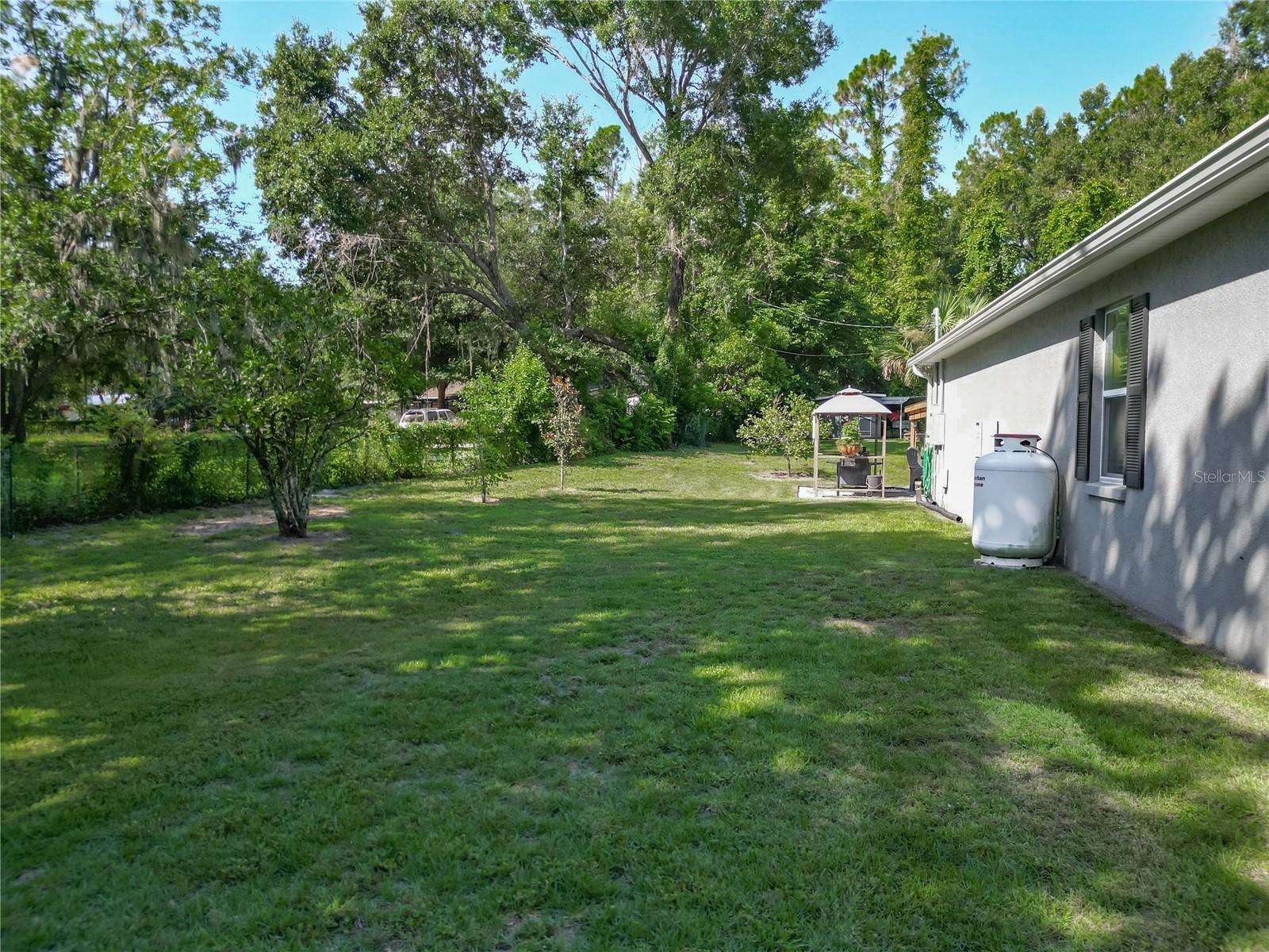 12750 SE 119TH Court, Ocklawaha, FL 32179