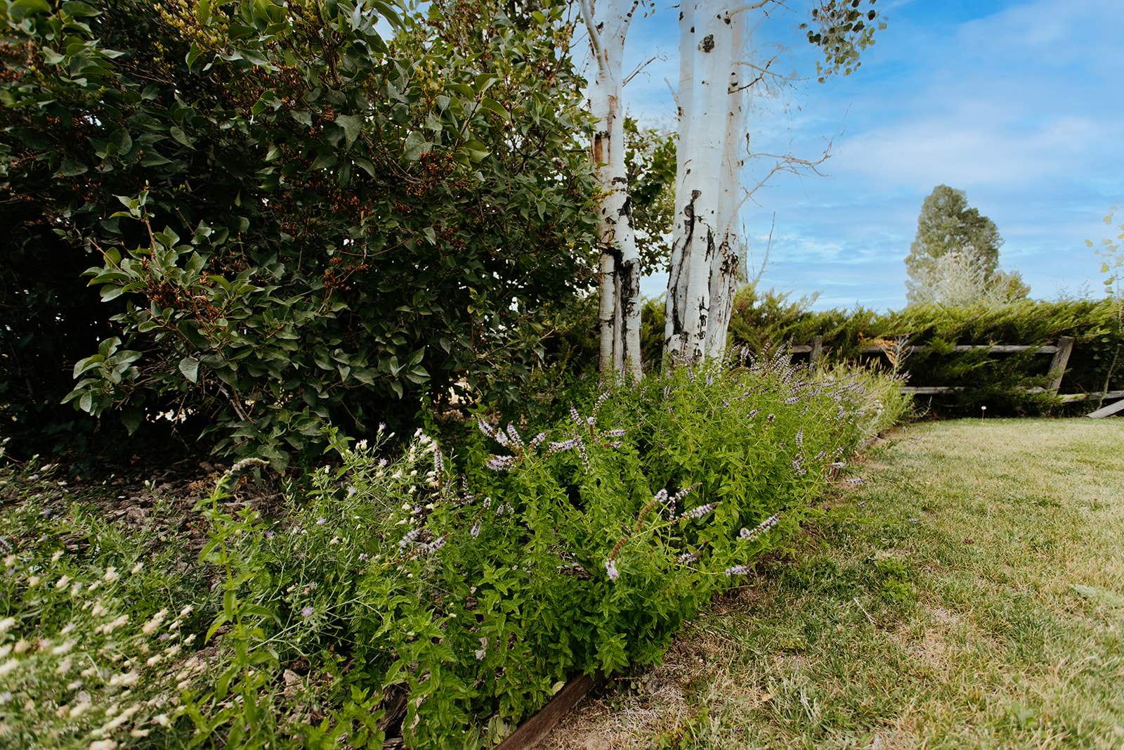 2398 W Fox Park Street, Montrose, CO 81401