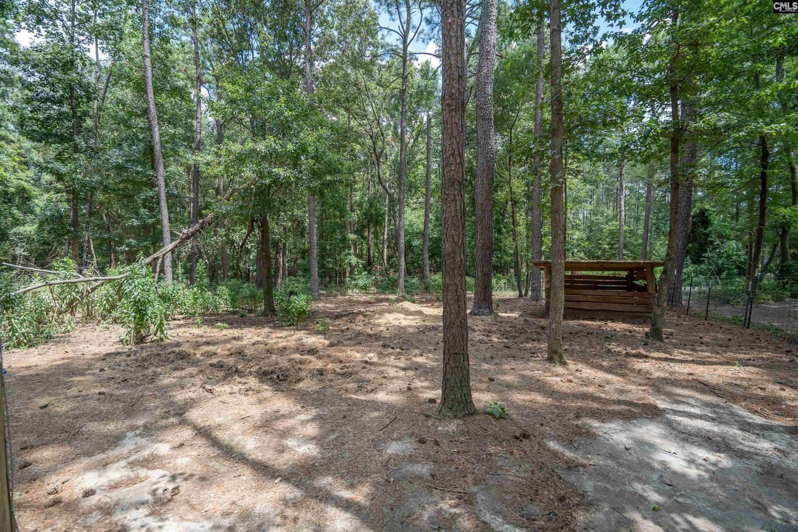 133 Cheyenne, Leesville, SC 29070