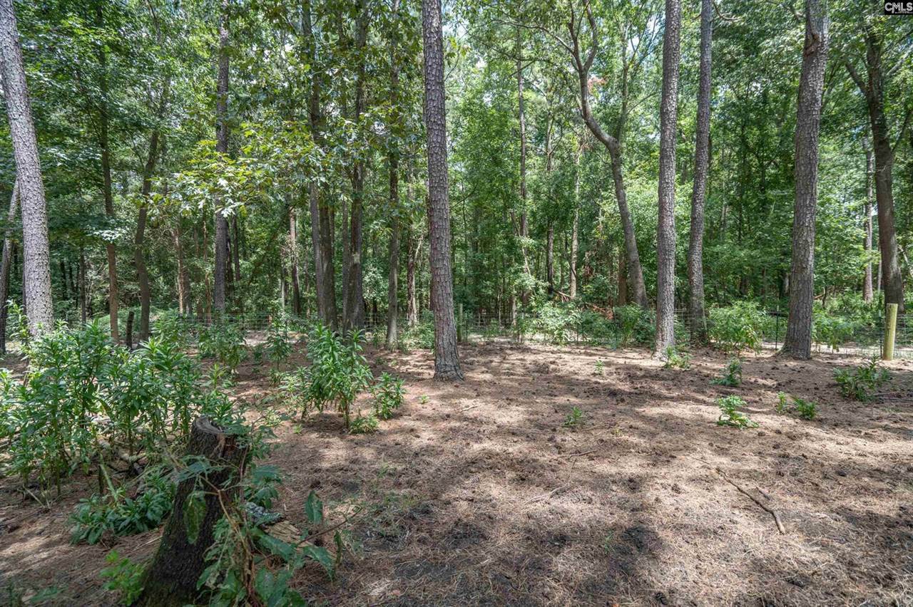 133 Cheyenne, Leesville, SC 29070