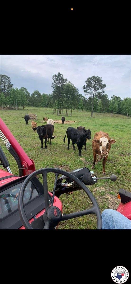 228 PR 1070, Doddridge, AR 71834