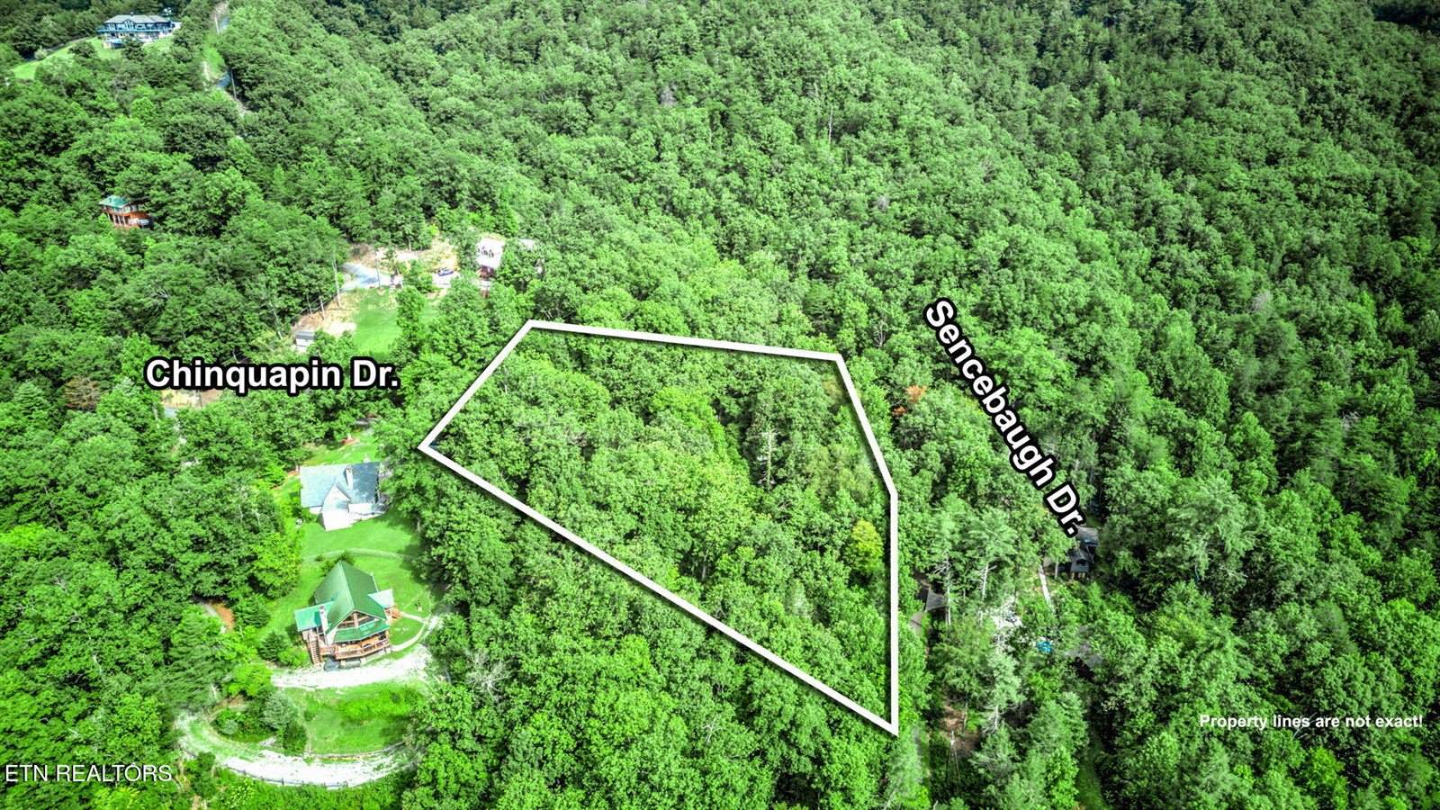 Chinquapin, Sevierville, TN 37876