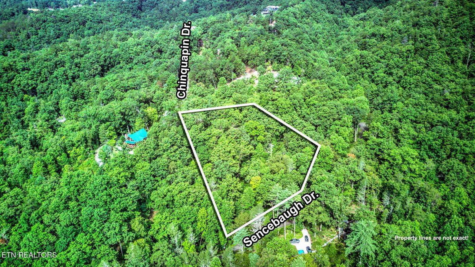 Chinquapin, Sevierville, TN 37876