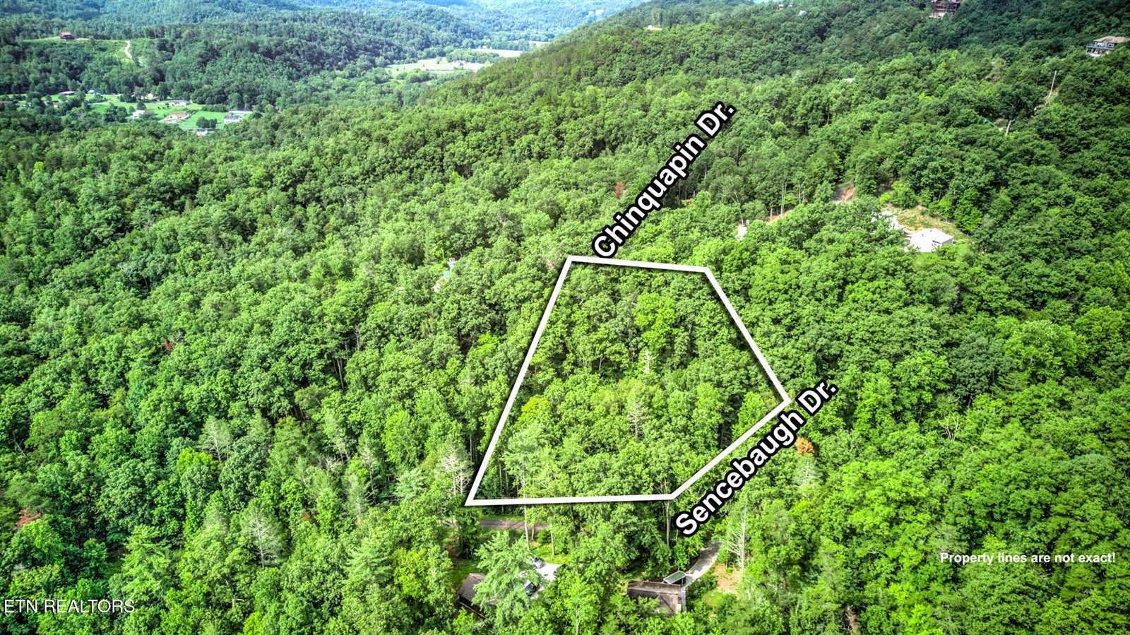 Chinquapin, Sevierville, TN 37876