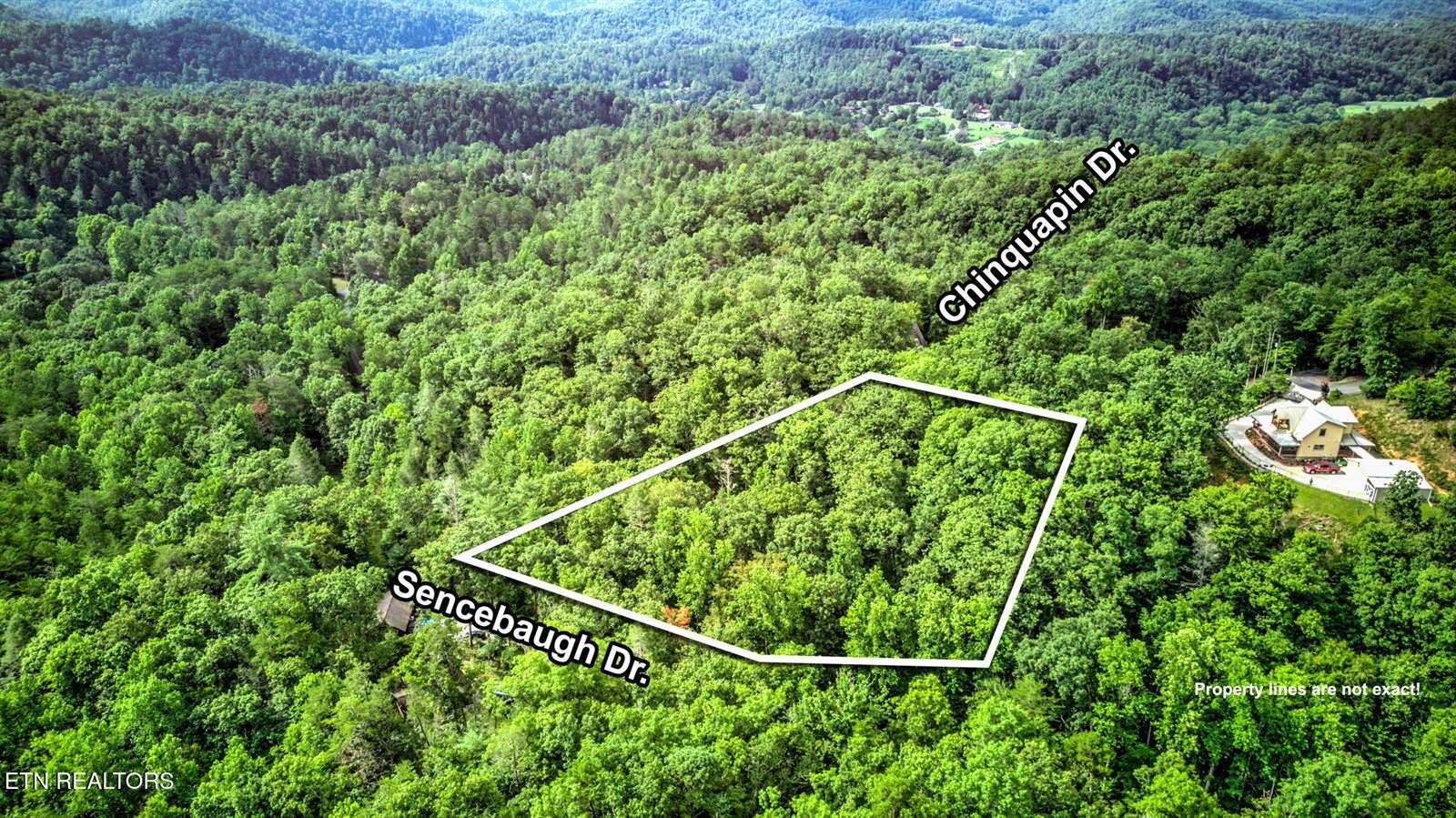 Chinquapin, Sevierville, TN 37876