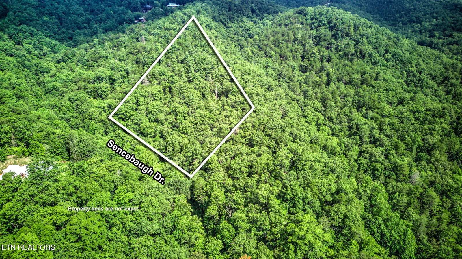 Sencebaugh Drive, Sevierville, TN 37876