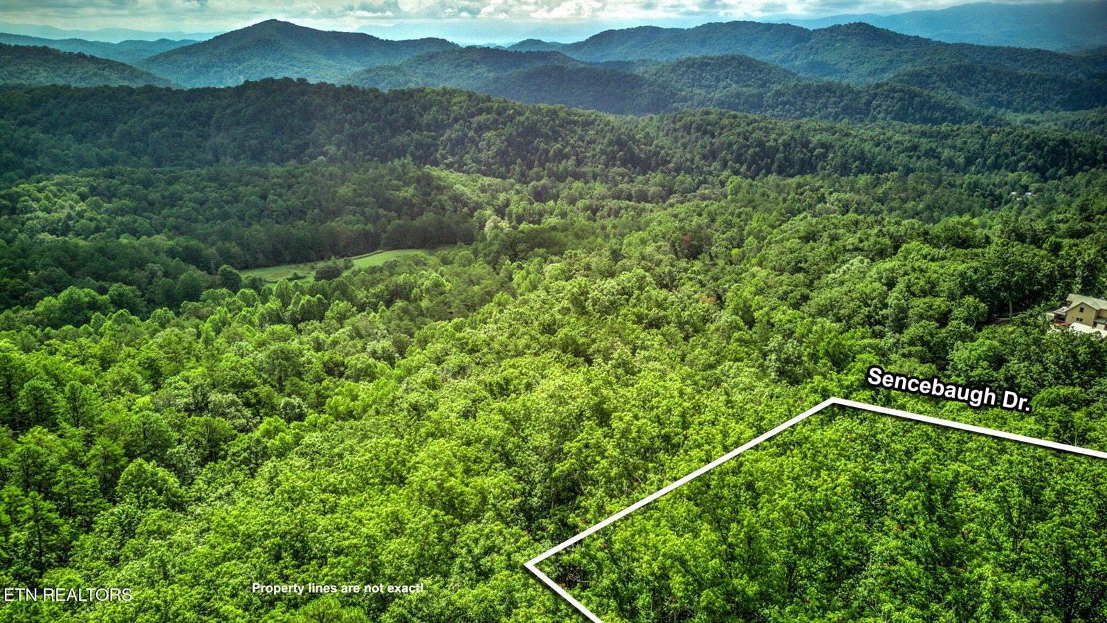 Sencebaugh Drive, Sevierville, TN 37876