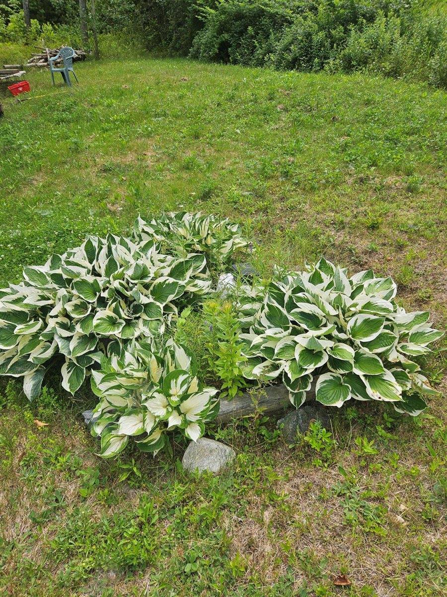 64 Nicolin Road, Ellsworth, ME 04605