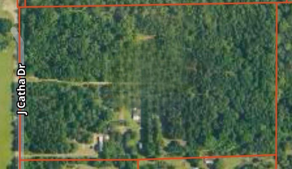 64450 J. Catha Drive, Amite, LA 70422