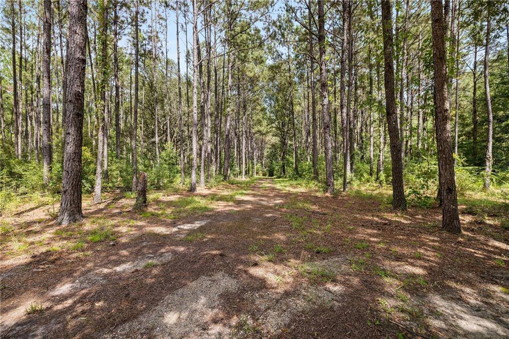 64450 J. Catha Drive, Amite, LA 70422