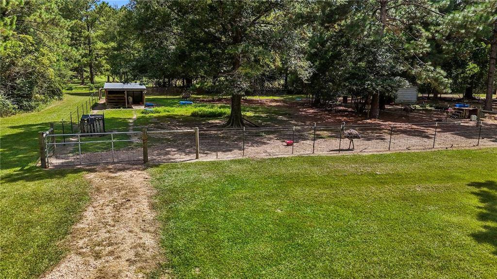 64450 J. Catha Drive, Amite, LA 70422