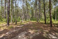 64450 J. Catha Drive, Amite, LA 70422