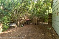 15507 Webster Road Road, Bath, MI 48808