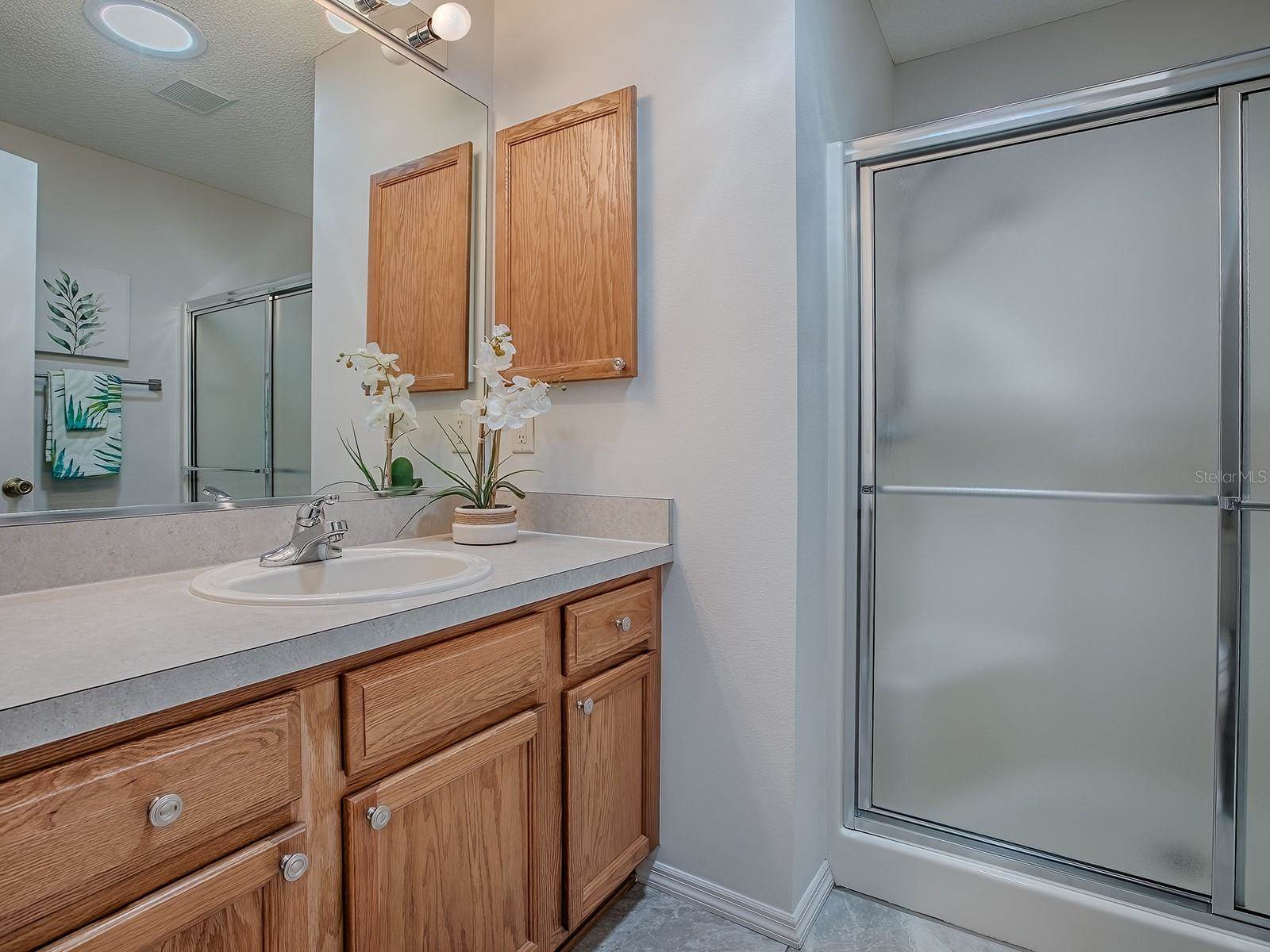 17421 SE 81st Newberry Court, The Villages, FL 32162