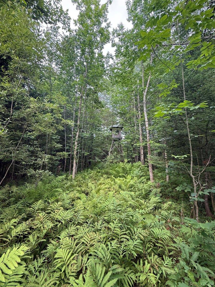 818 Higgins Road, Pittsfield, ME 04967