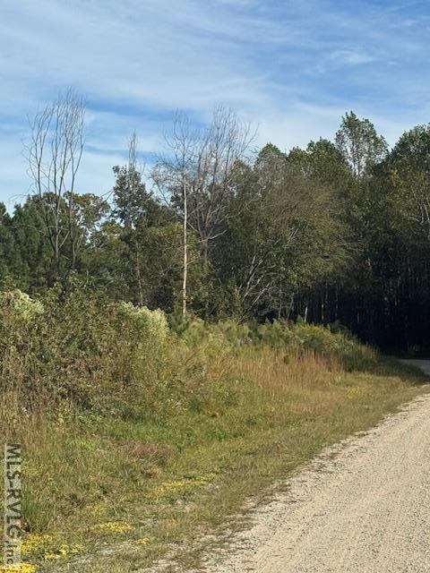 0 Poe Dr, Kenbridge, VA 23944