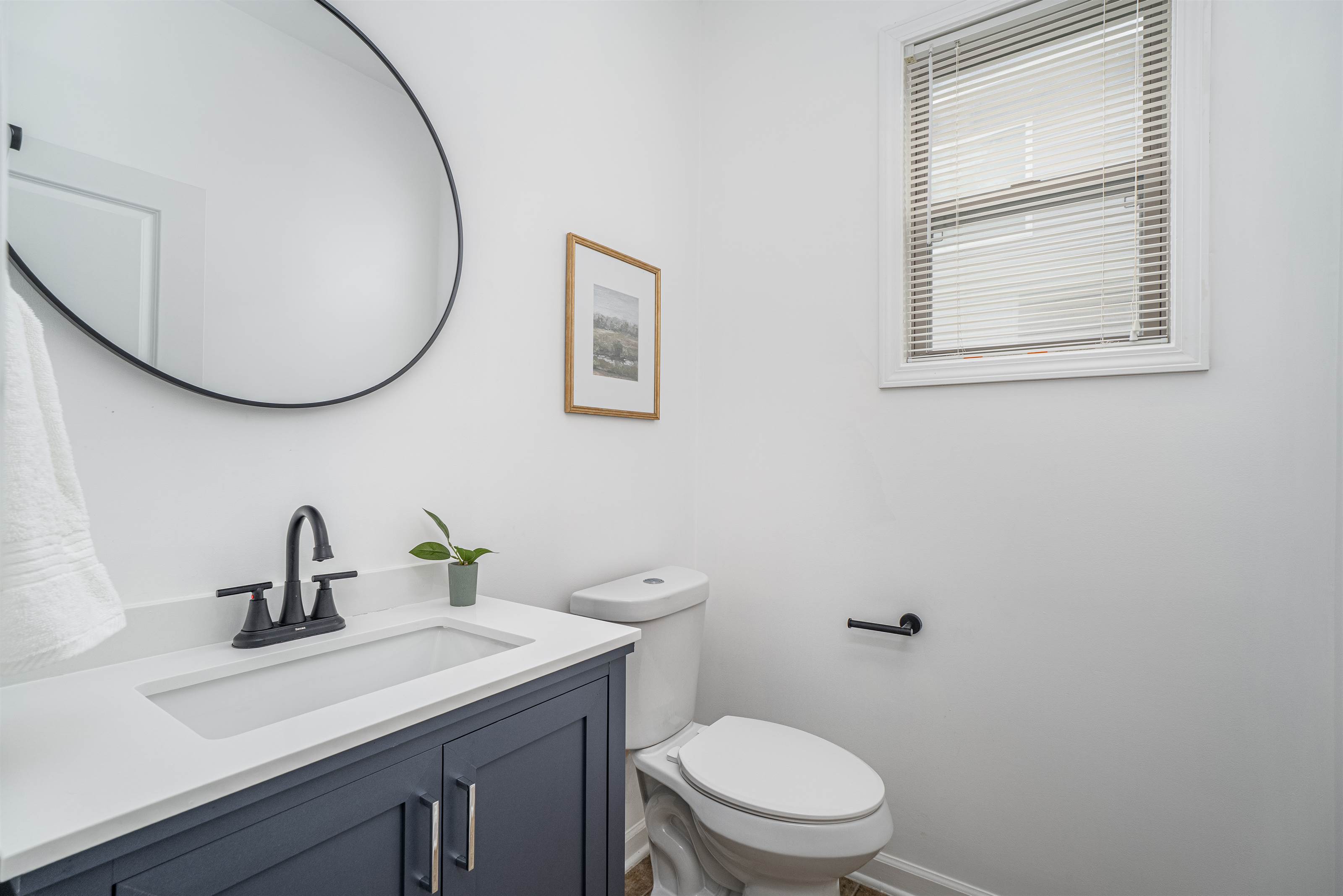 317 Pleasant Creek Ct, Lexington, SC 29073