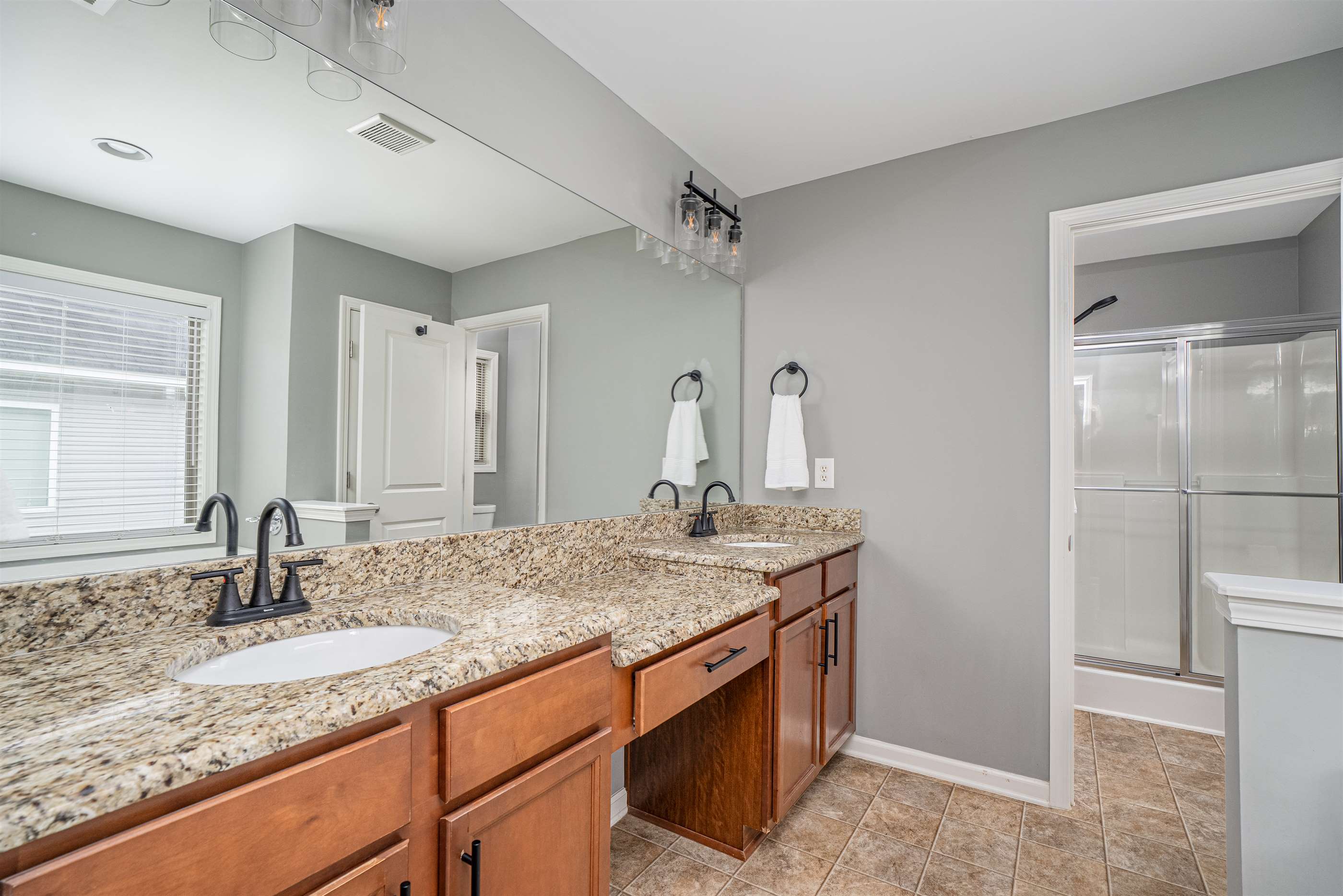 317 Pleasant Creek Ct, Lexington, SC 29073