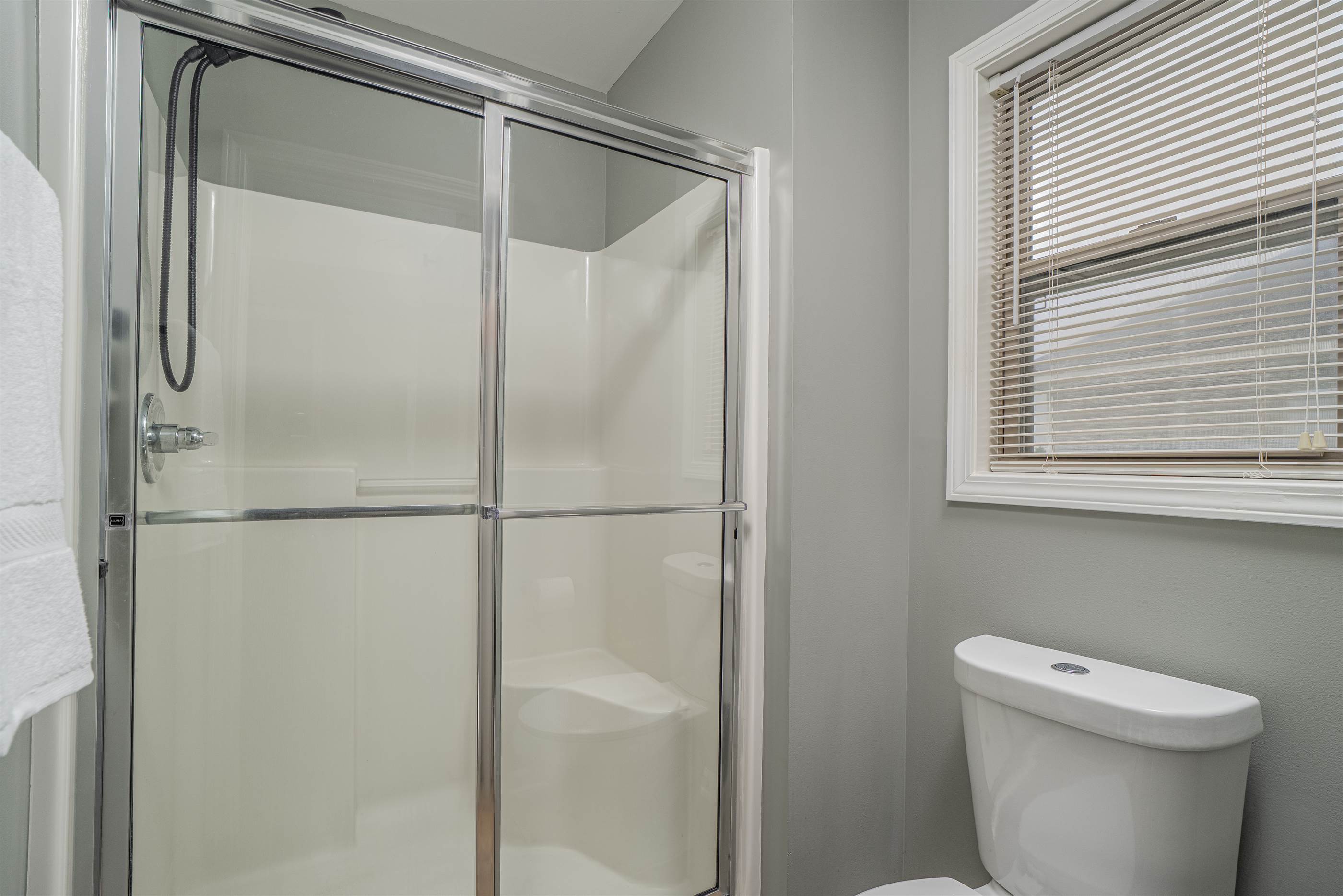 317 Pleasant Creek Ct, Lexington, SC 29073