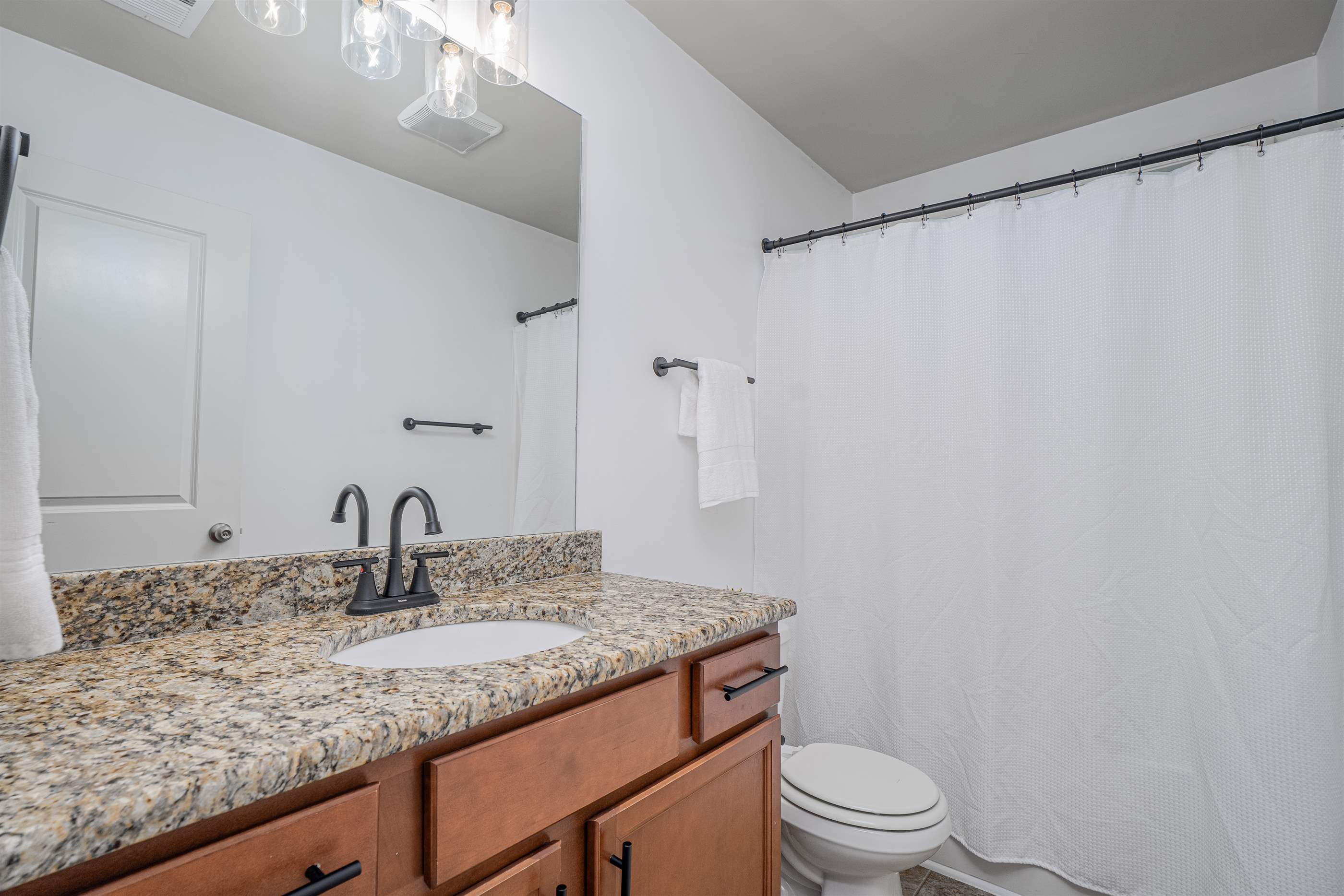 317 Pleasant Creek Ct, Lexington, SC 29073