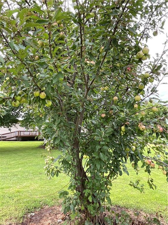 18615 137th Street, Pattonsburg, MO 64670