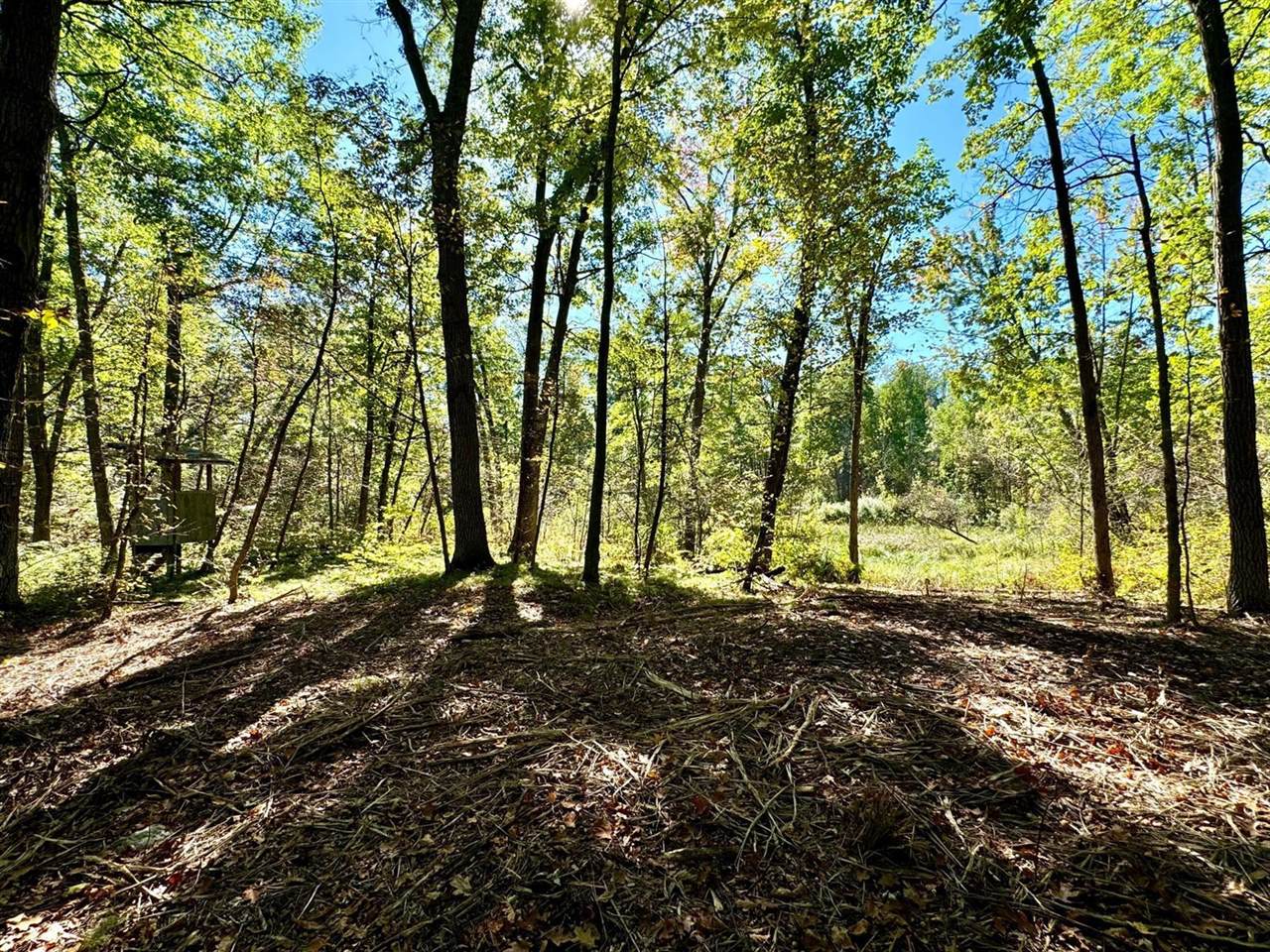 TBD4 Winter Creek Court, Nisswa, MN 56468