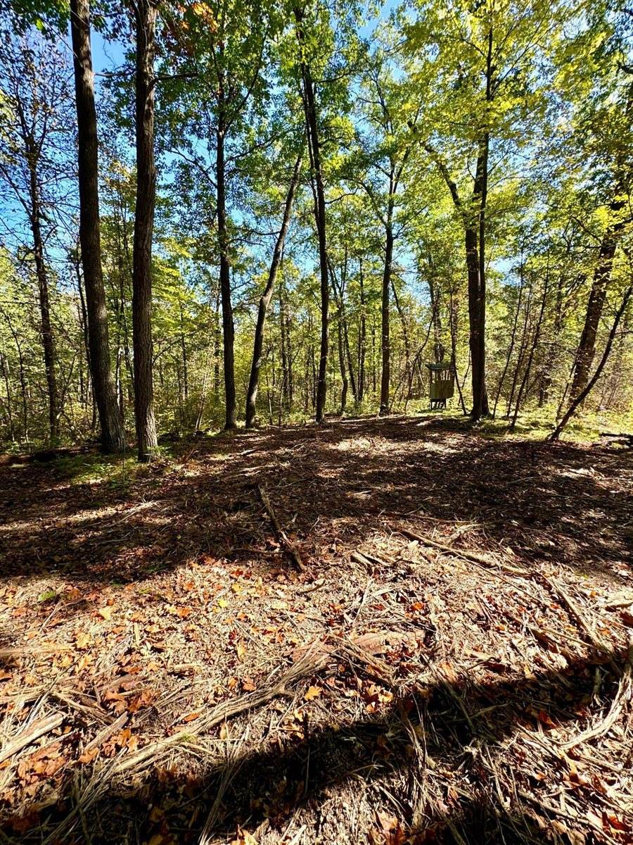 TBD4 Winter Creek Court, Nisswa, MN 56468