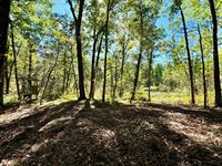 TBD4 Winter Creek Court, Nisswa, MN 56468