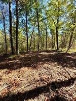 TBD4 Winter Creek Court, Nisswa, MN 56468