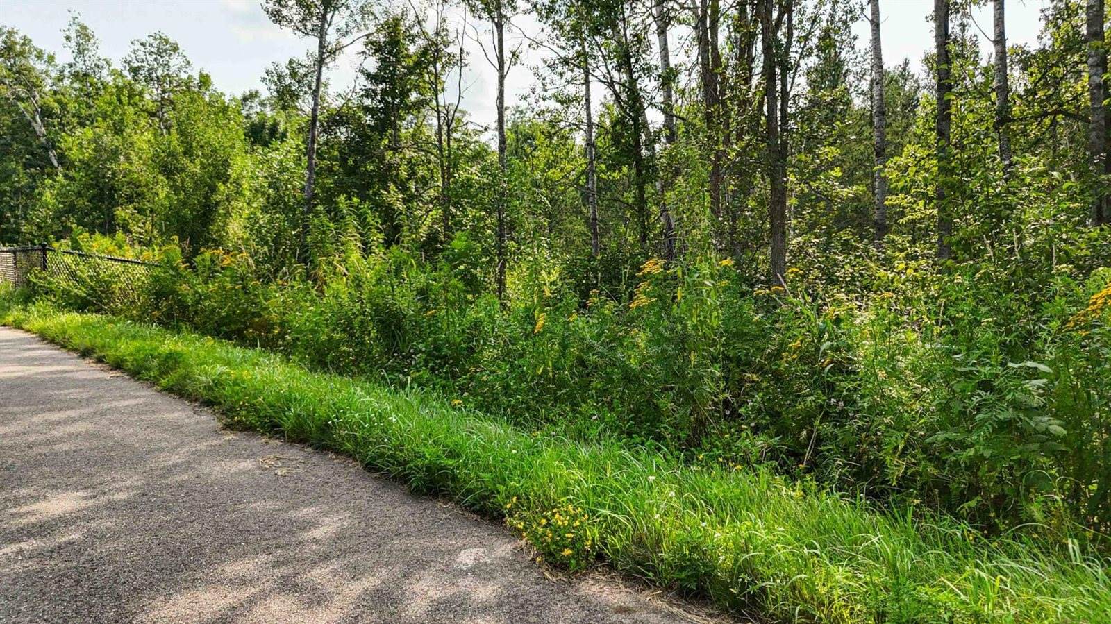 TBD5 Winter Creek Court, Nisswa, MN 56468