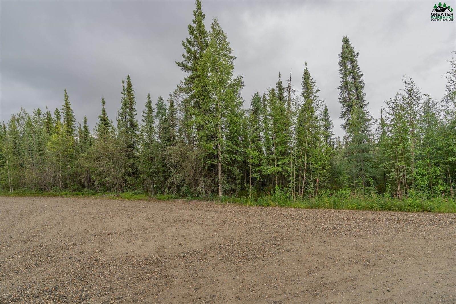 Nhn Lyle Avenue, North Pole, AK 99705