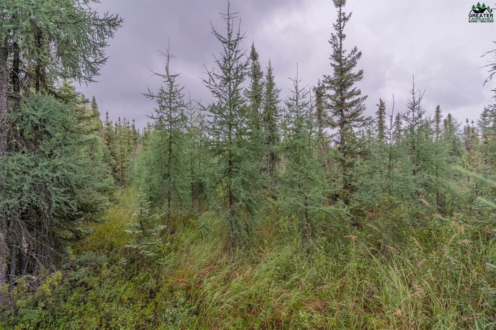 Nhn Lyle Avenue, North Pole, AK 99705