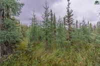 Nhn Lyle Avenue, North Pole, AK 99705