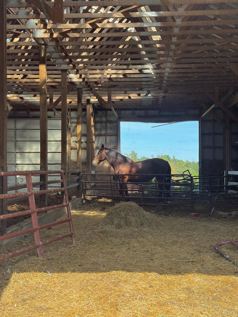 283 Shaw Road, Dover-Foxcroft, ME 04426