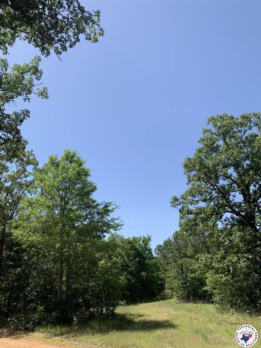 40 Acres PR 1187, Texarkana, AR 71854