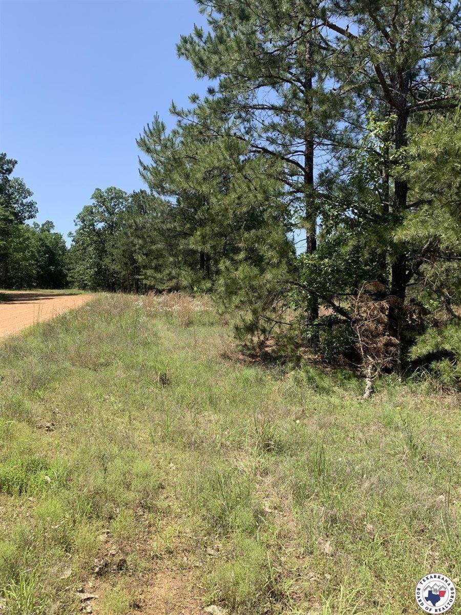 40 Acres PR 1187, Texarkana, AR 71854