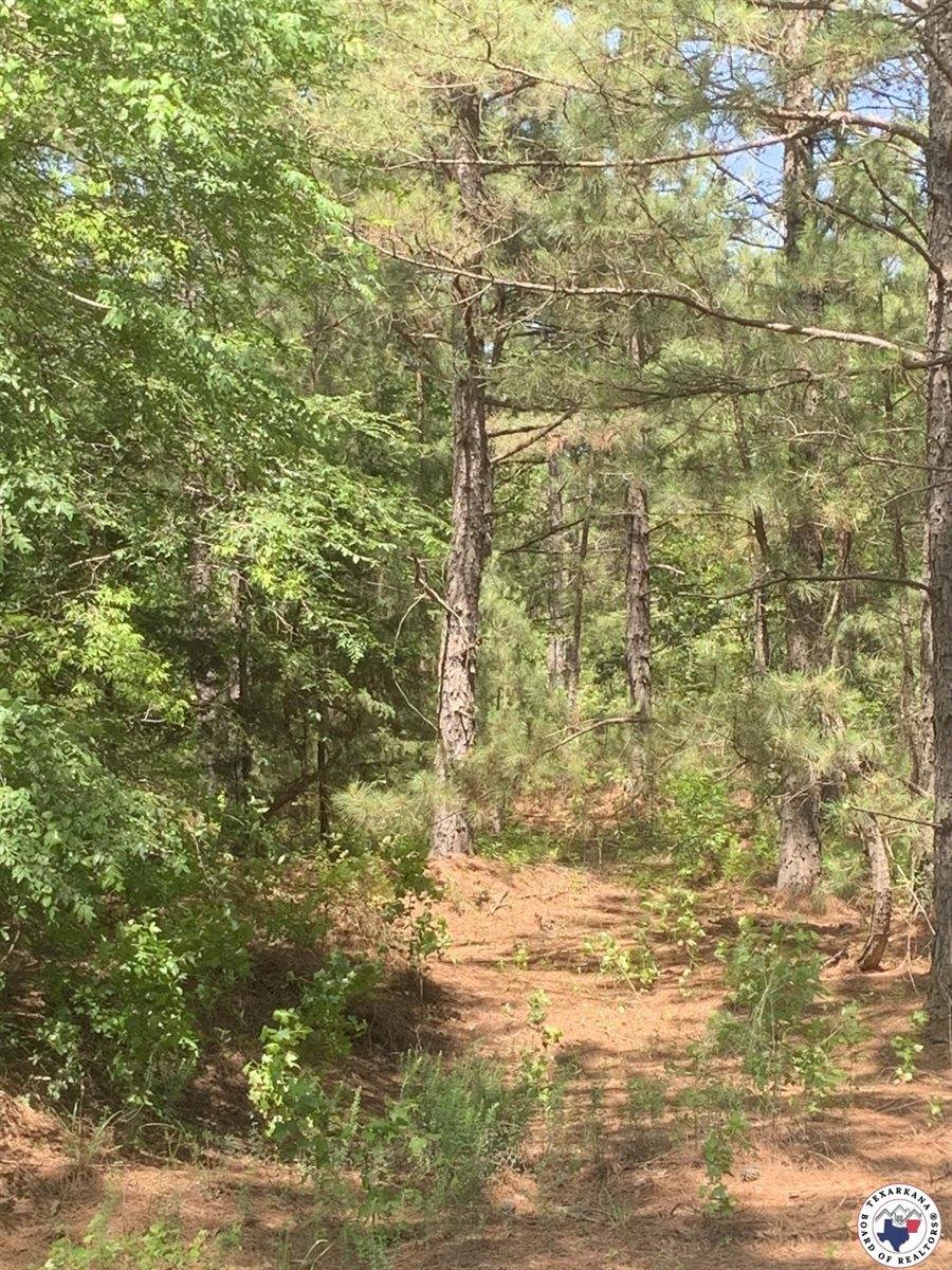 40 Acres PR 1187, Texarkana, AR 71854